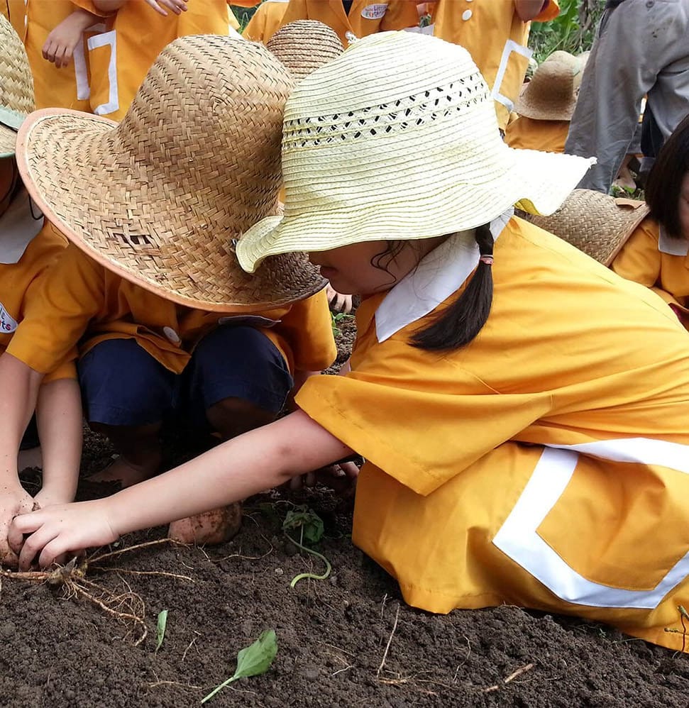 Pupils in straw hats planting on a field trip